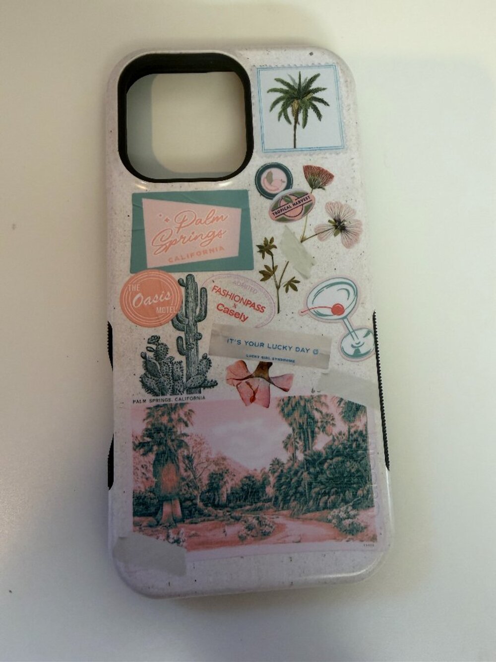 iPhone 16 Pro Max Case
